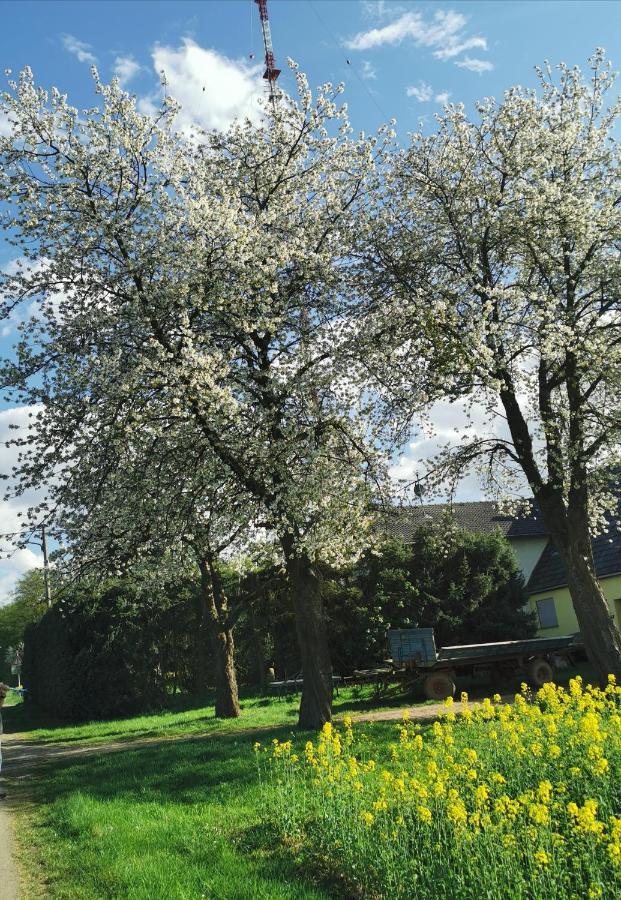 Ferienwohnung Landidylle Nassheck Dieblich Exterior foto