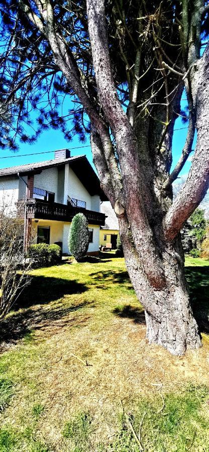 Ferienwohnung Landidylle Nassheck Dieblich Exterior foto